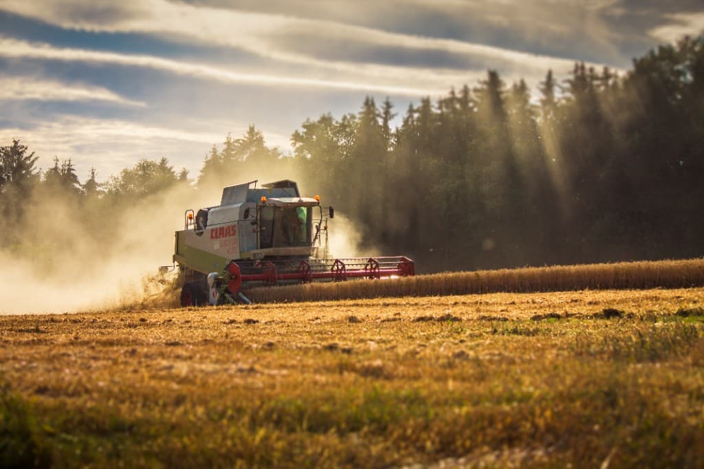 Combine harvester working a grain field at harvest